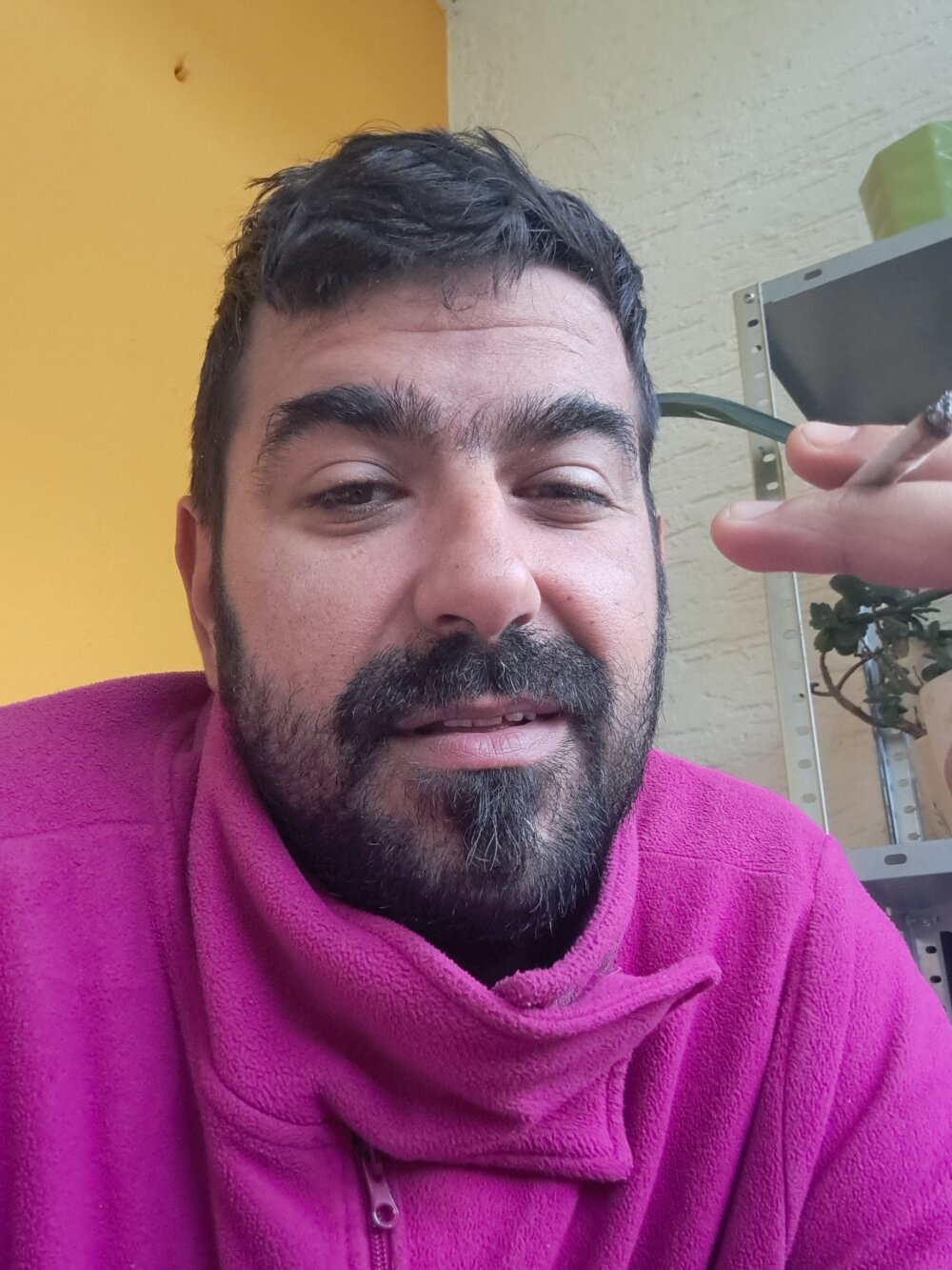 amardemar