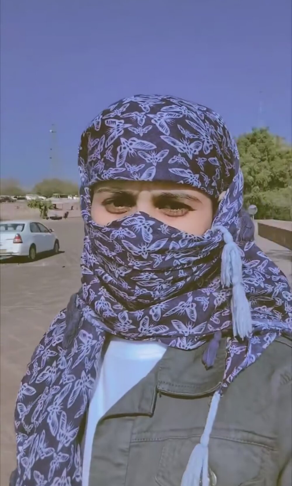 aneeshmeen