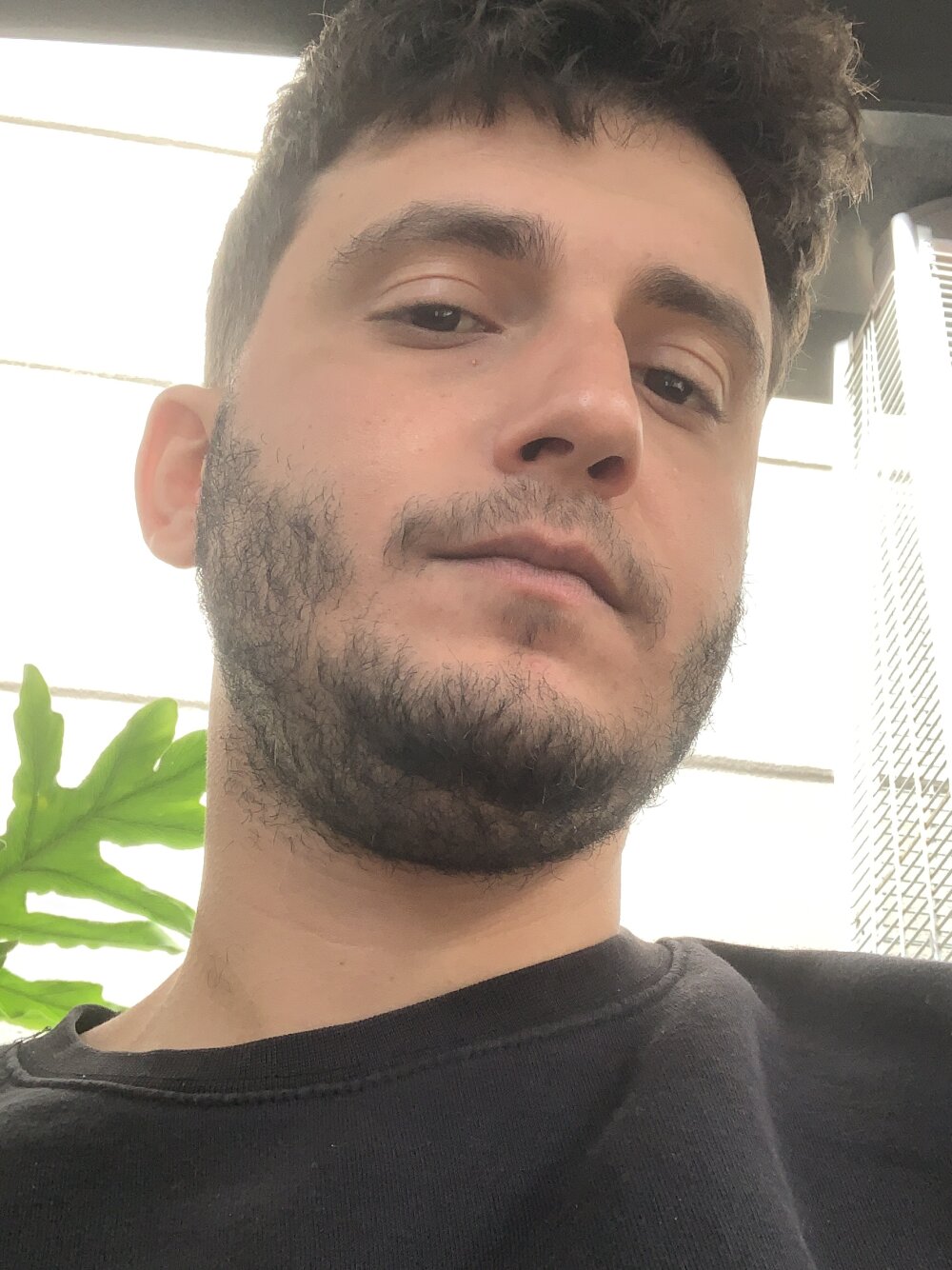 armandodaas