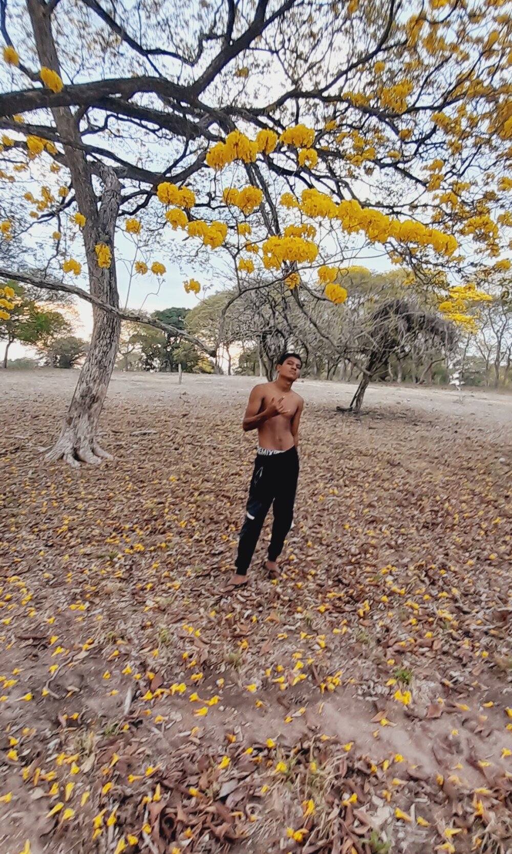 aytde644