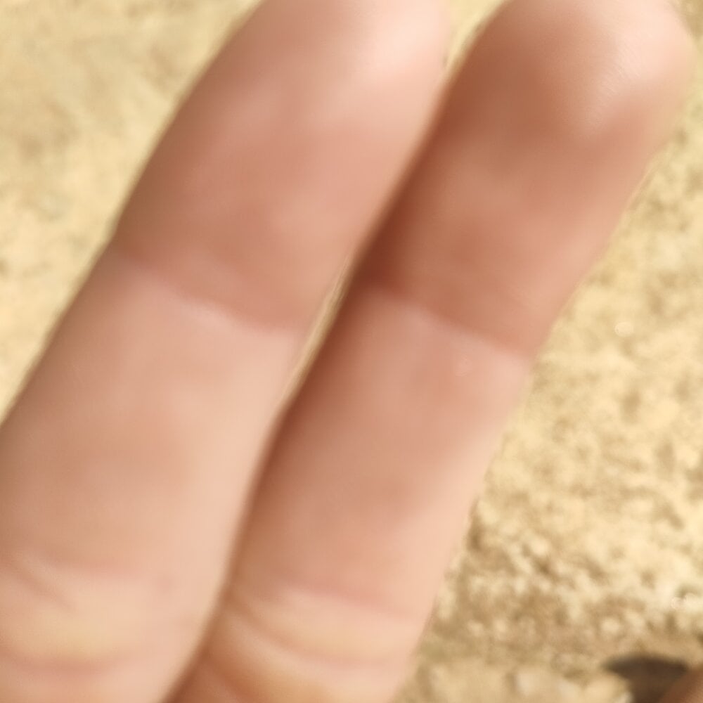 beemnh