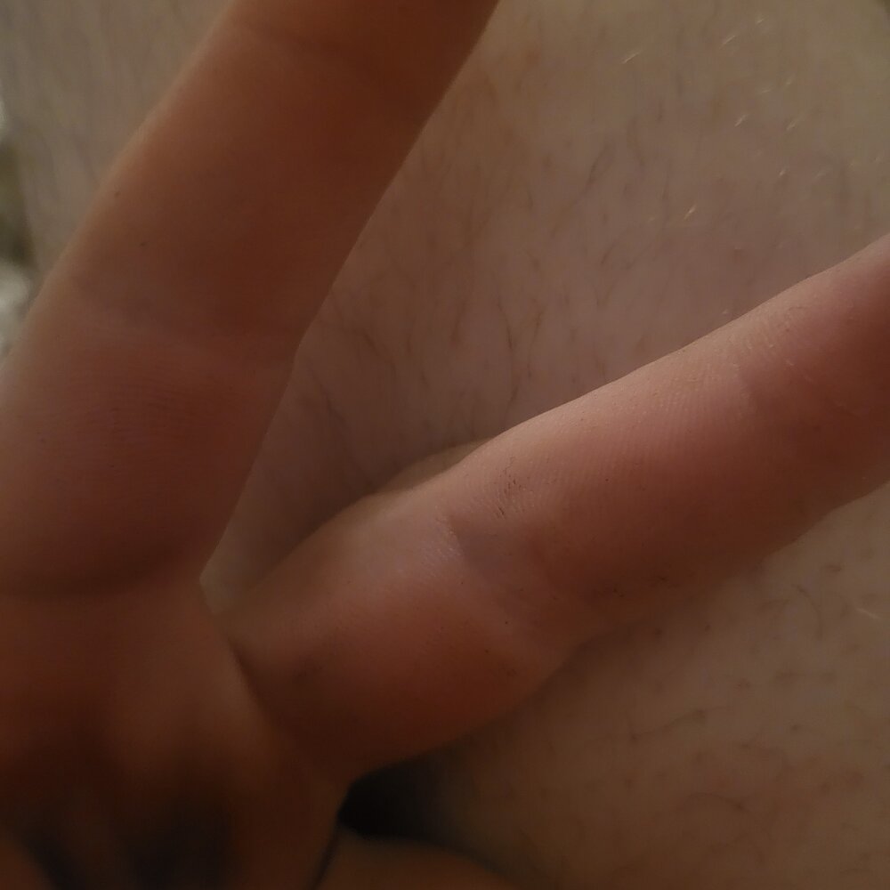 bellebite335