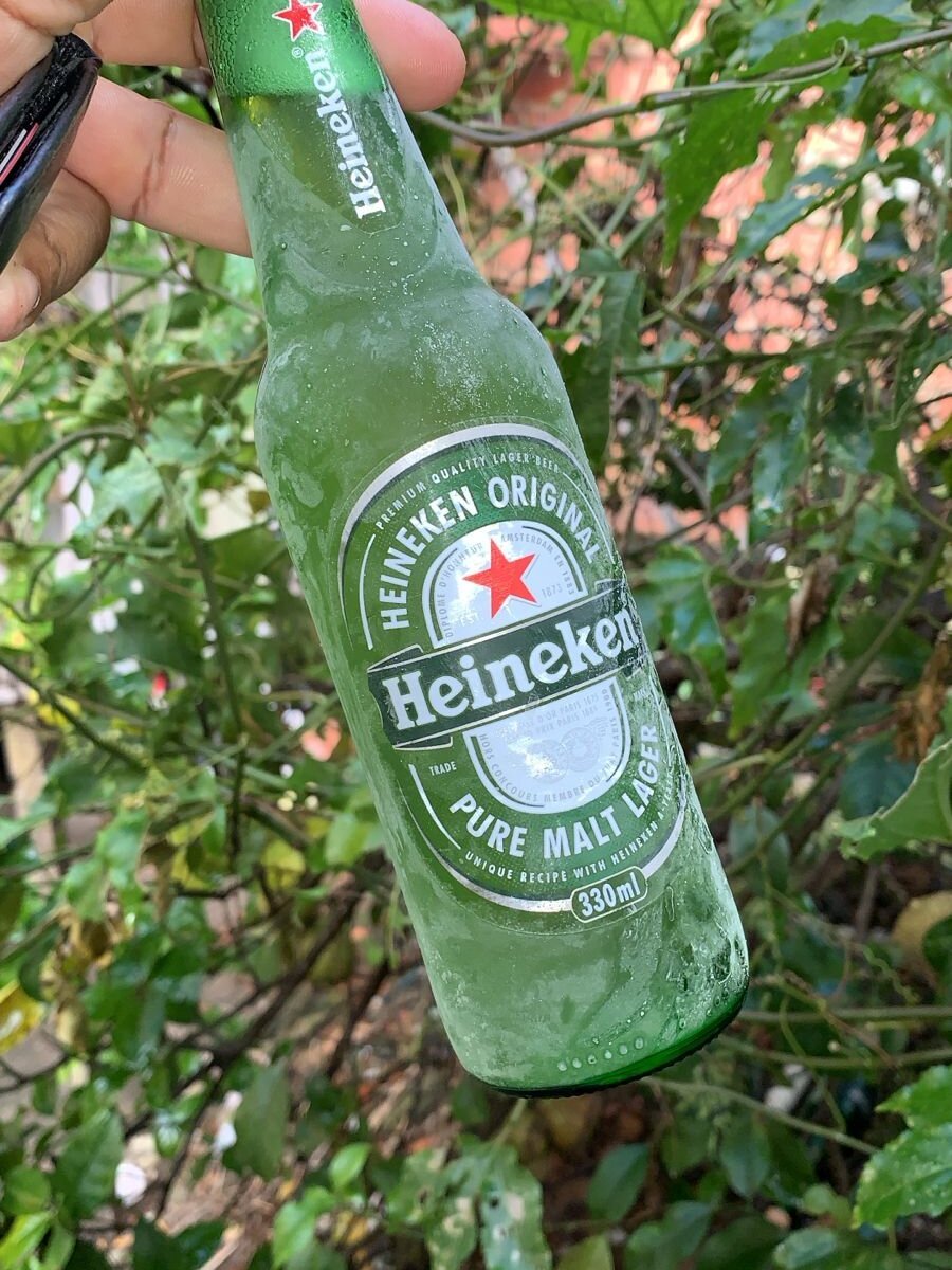berjorge34