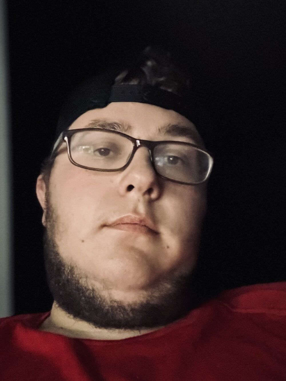 bigDog231