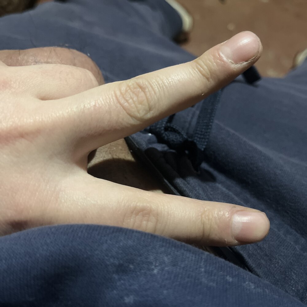 bigandtastycock