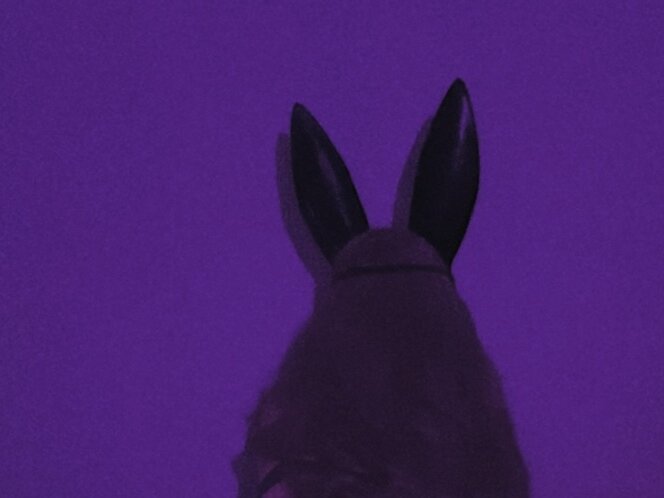 bunny_lady