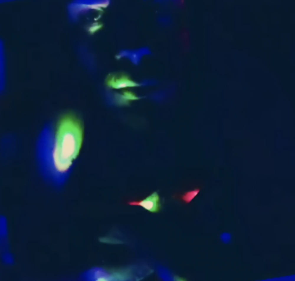 charlielongshot