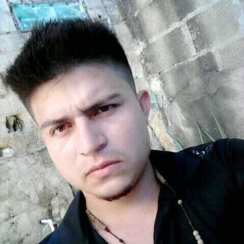cirio_