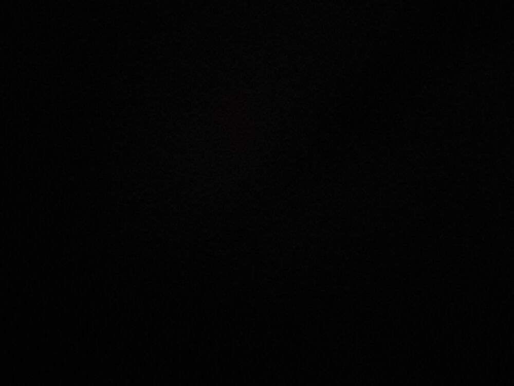 coqui-1