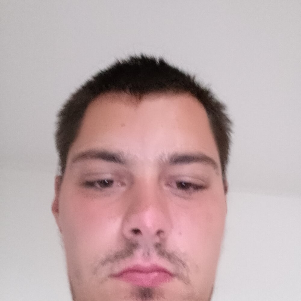dewot0922markus