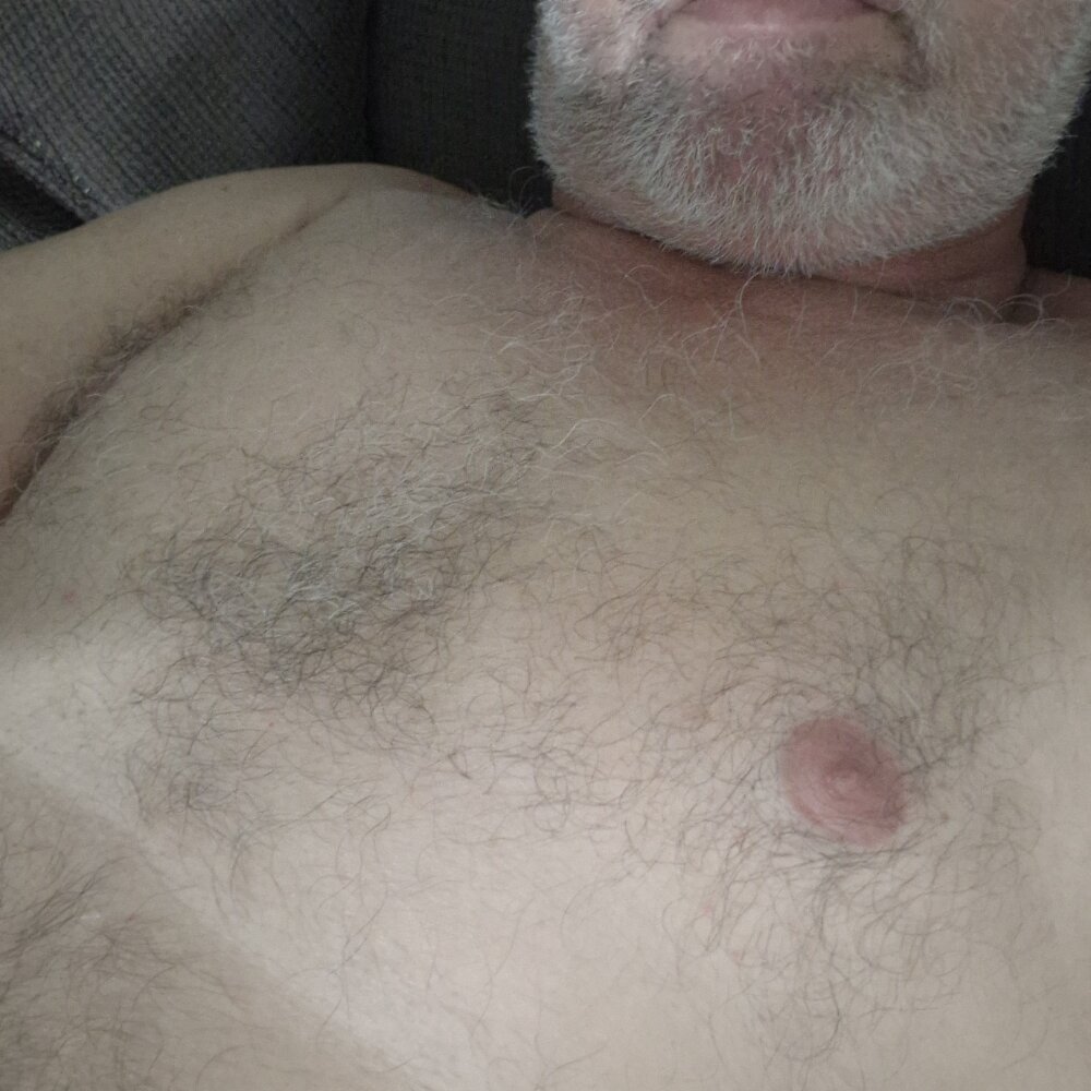 docinhotimido2