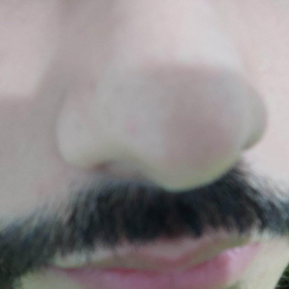 engininiz