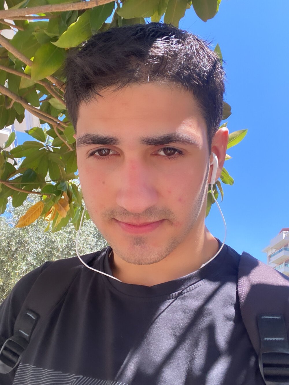 eselesvv