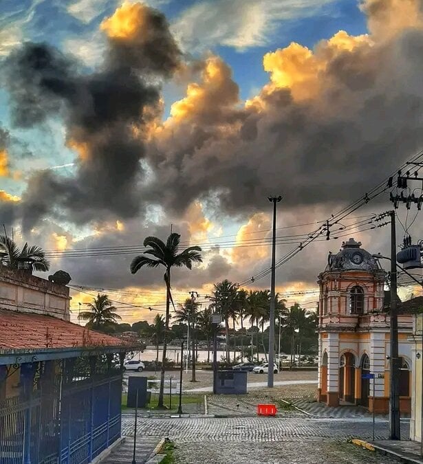 gatomagro10