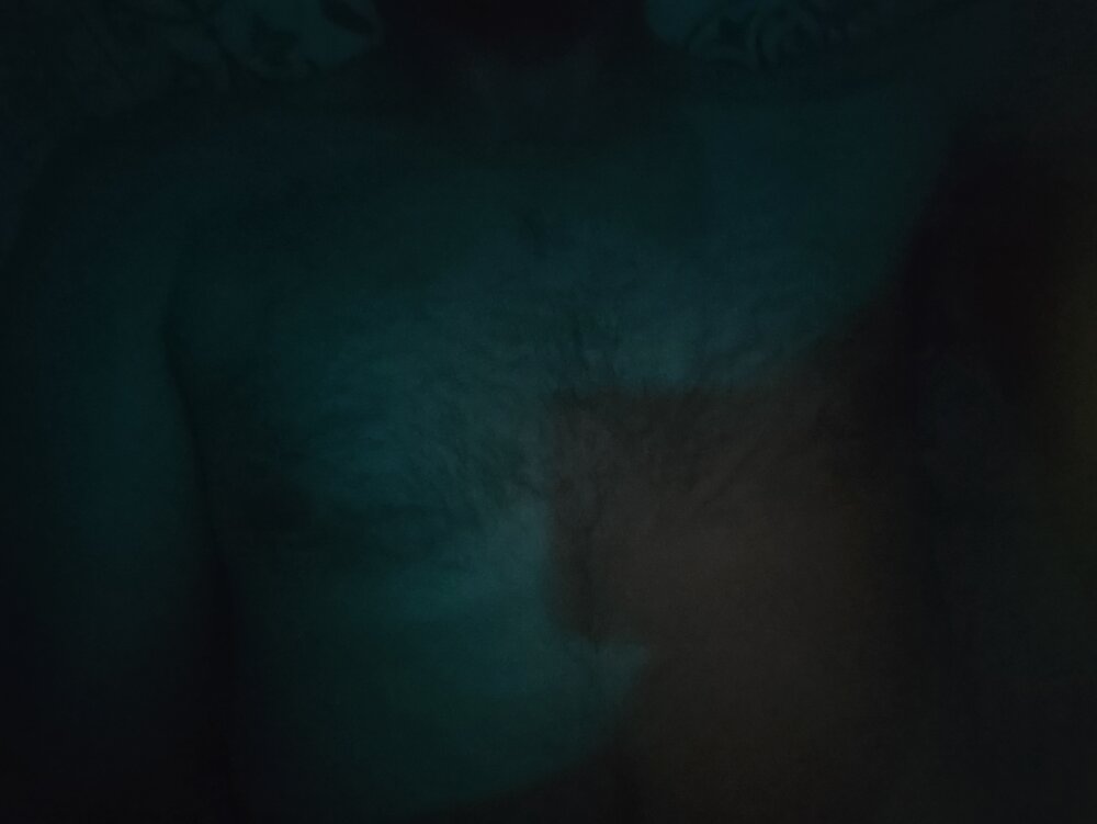 gatosexygaucho