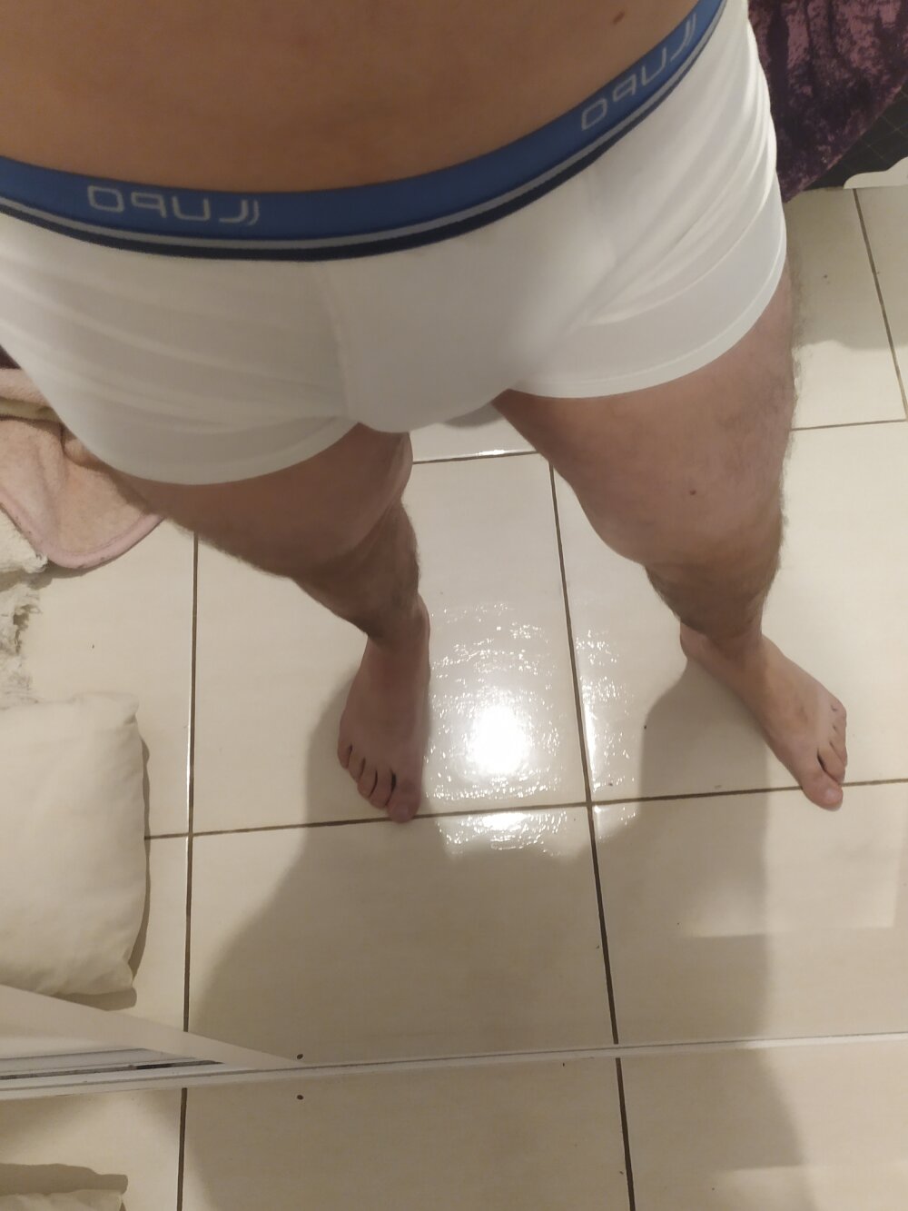 guizgato101