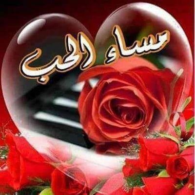 habib132sal