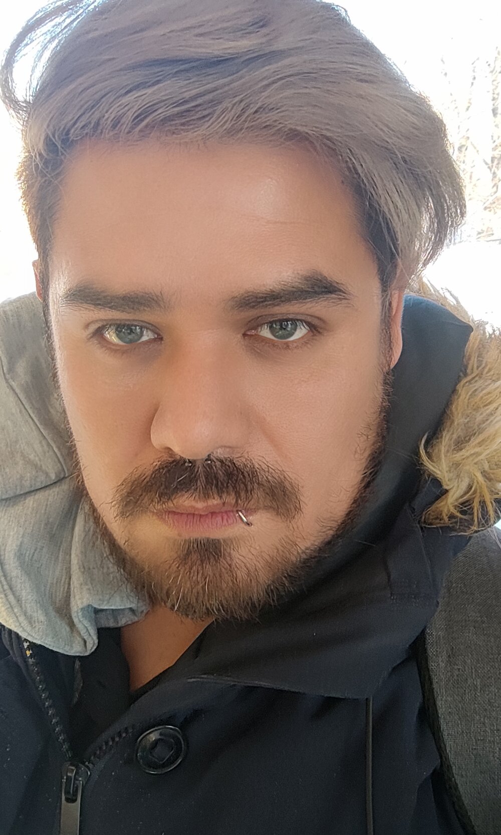 jaffito