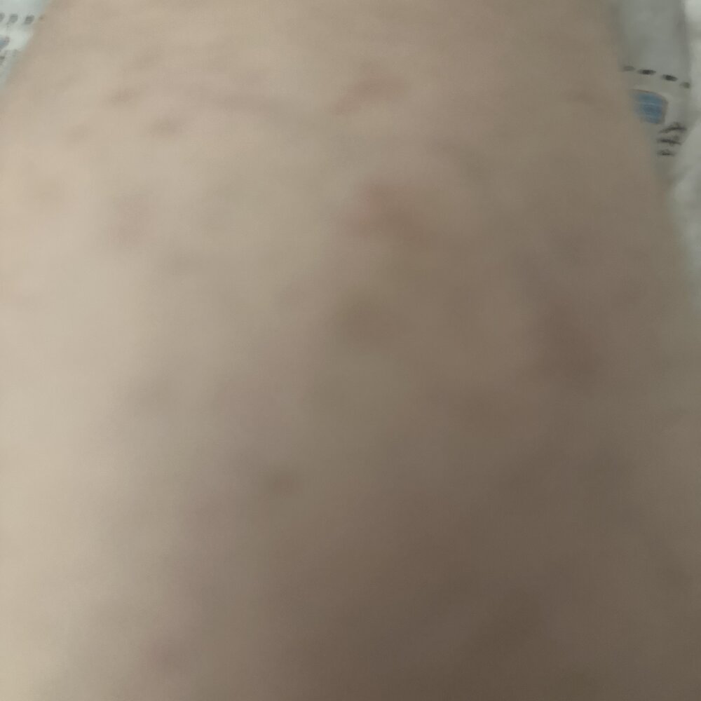 jessitrans69