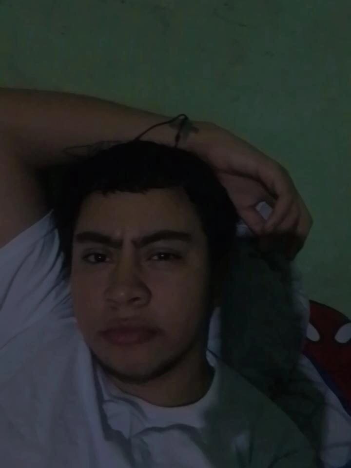 kameliayein