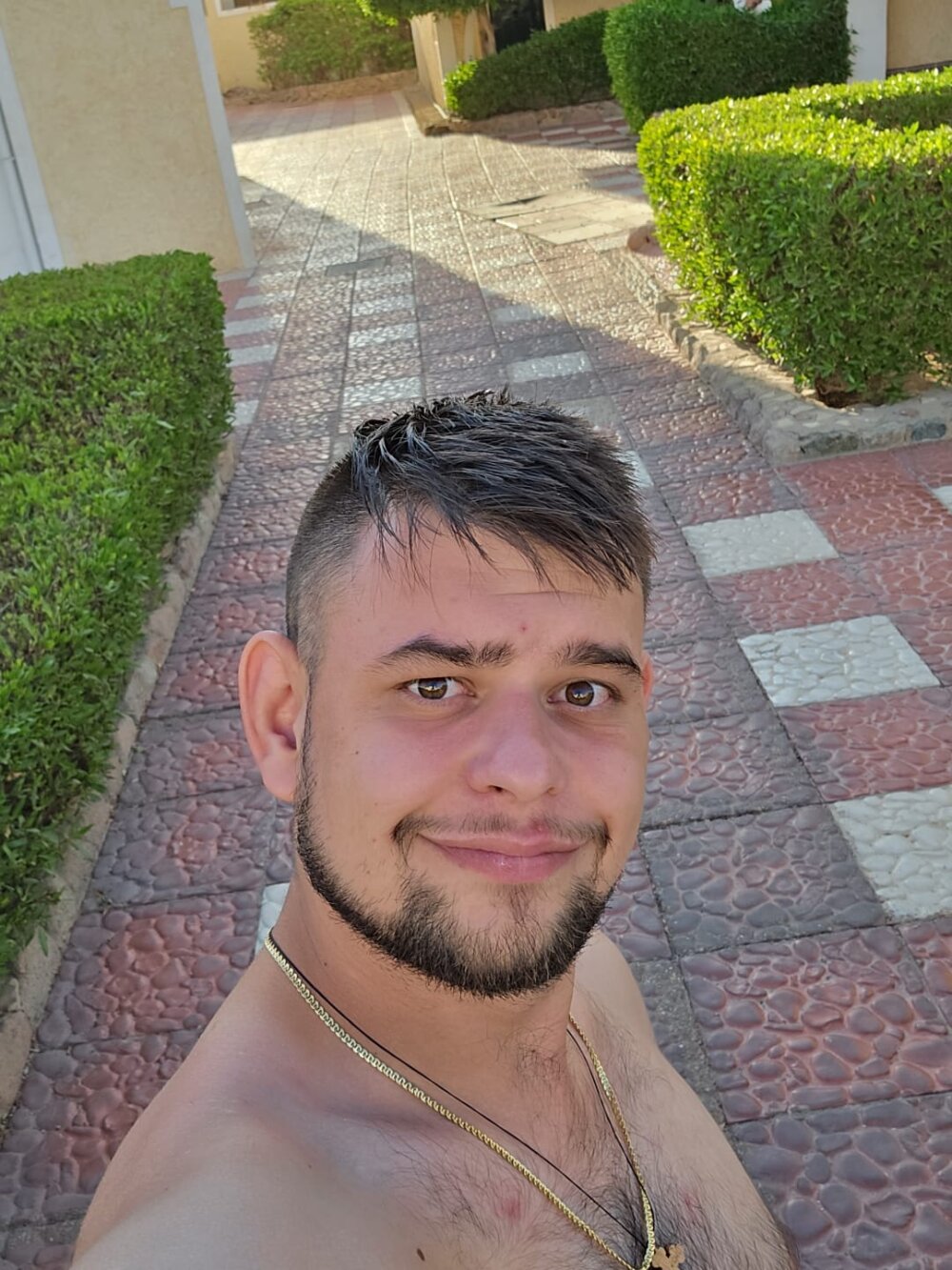 lapa525