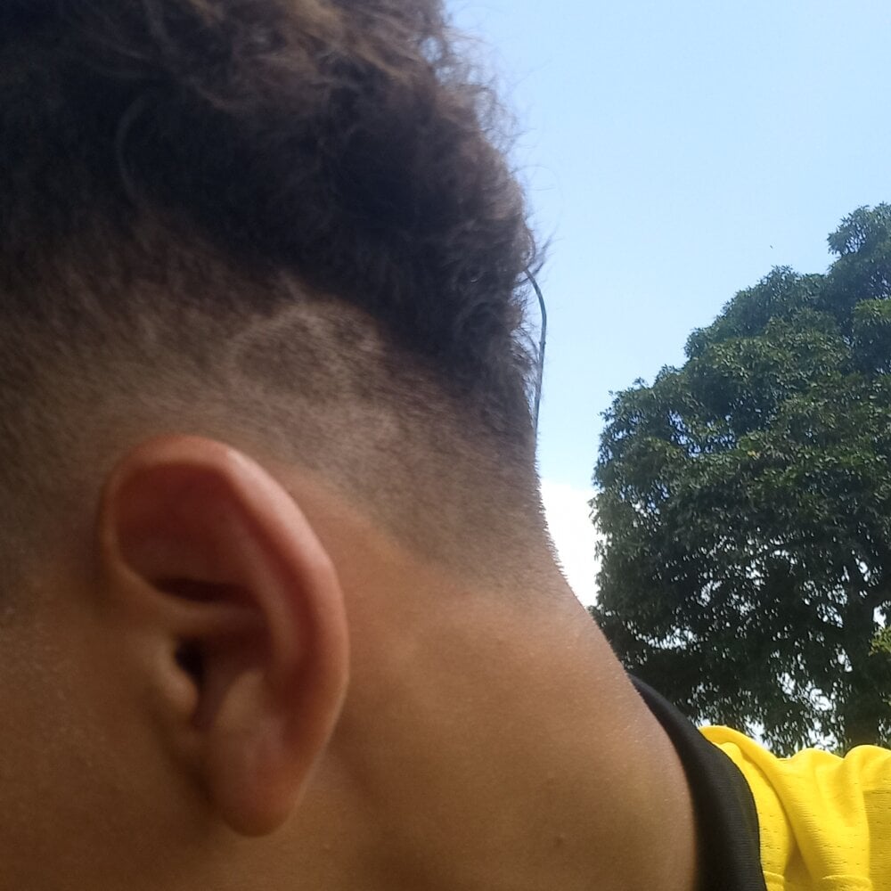 leinner_x