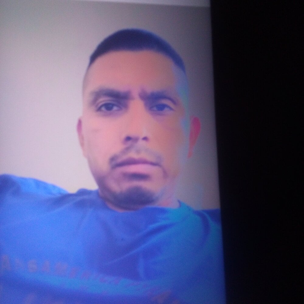 loboAudZ90