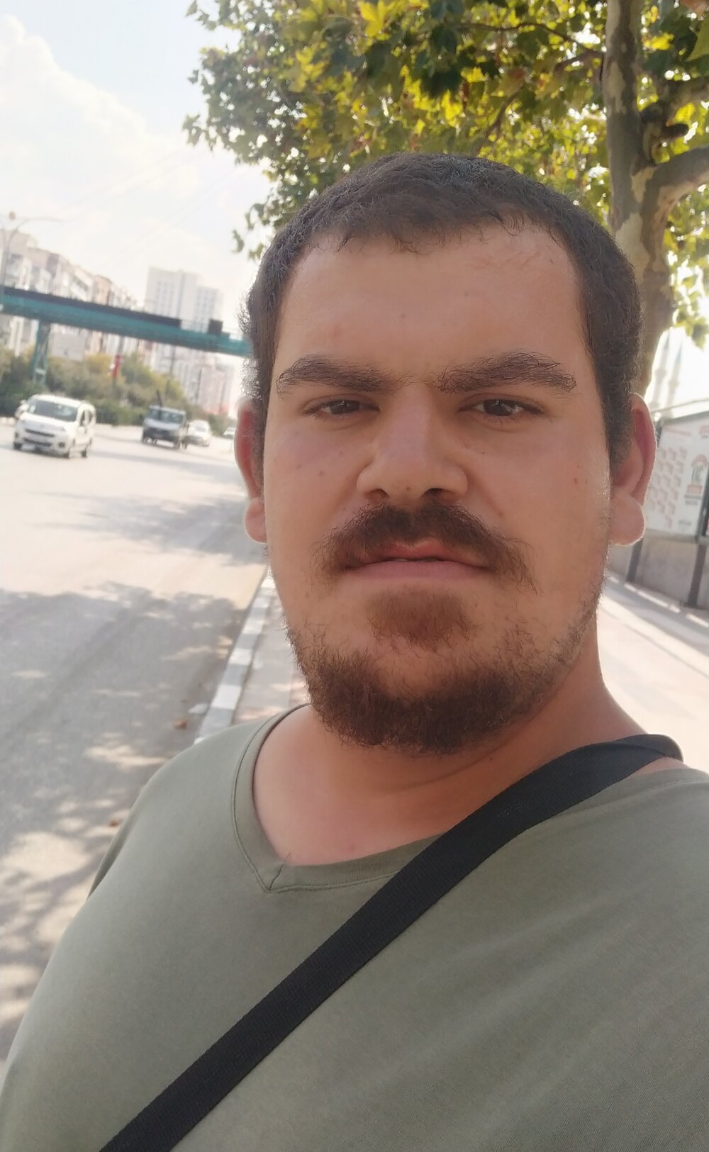 mert312340