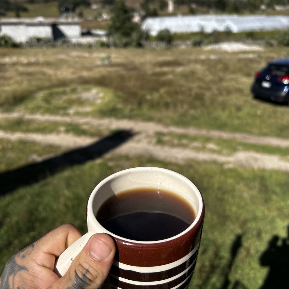 mexicandotado