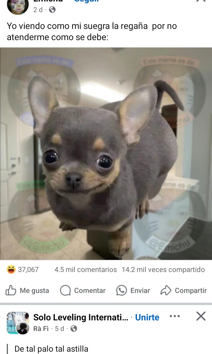 morbo10m3