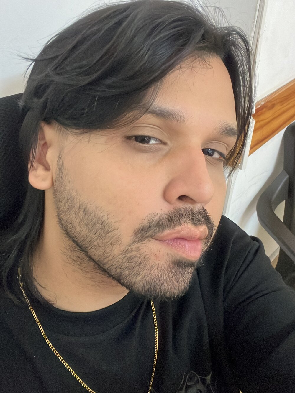 mrbear_latin