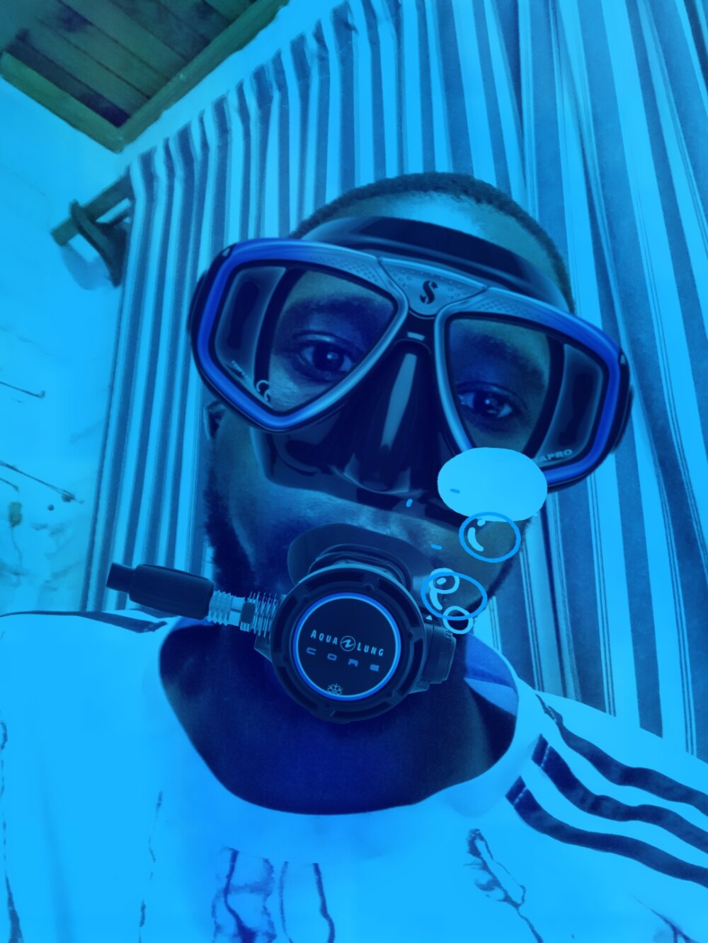 mrniceduck2