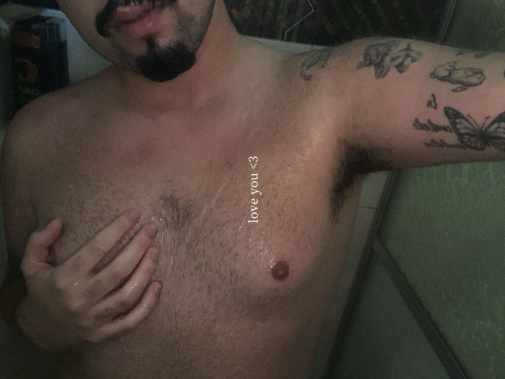novin_pes