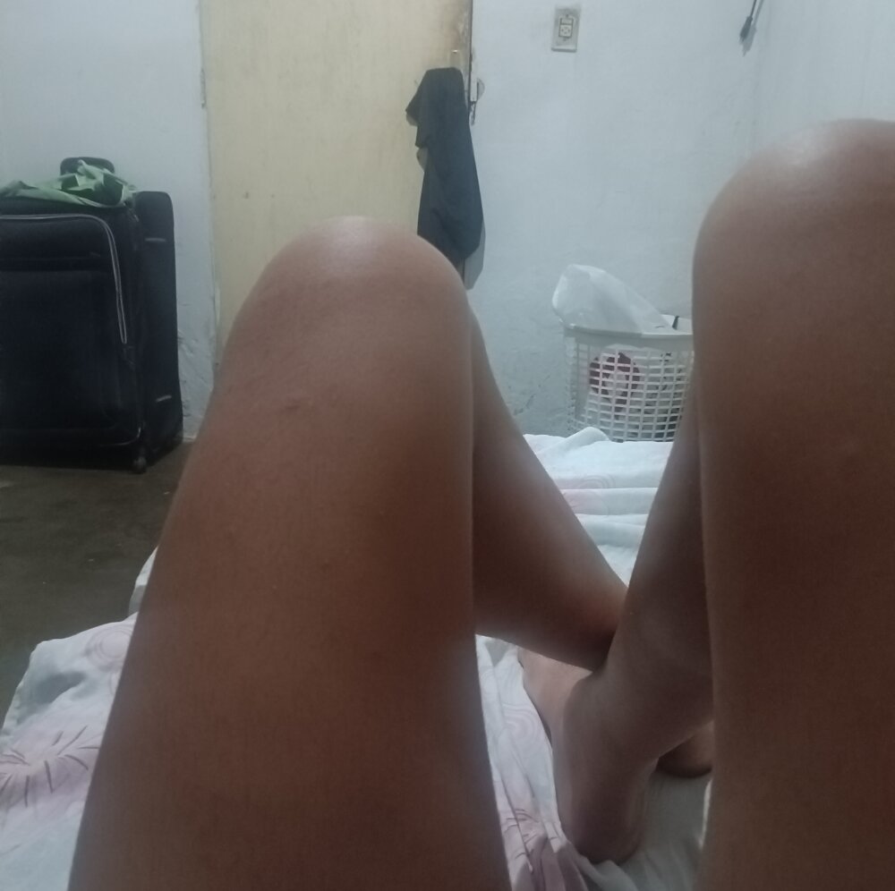 novinhodotado20