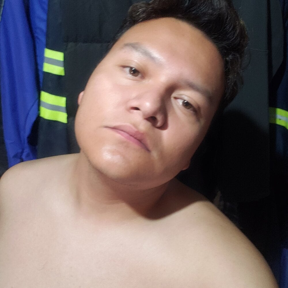 oso_blanco99