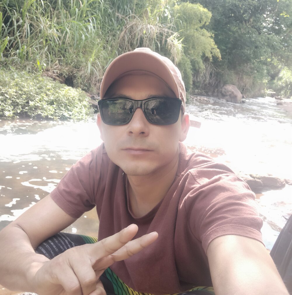 pallisinho
