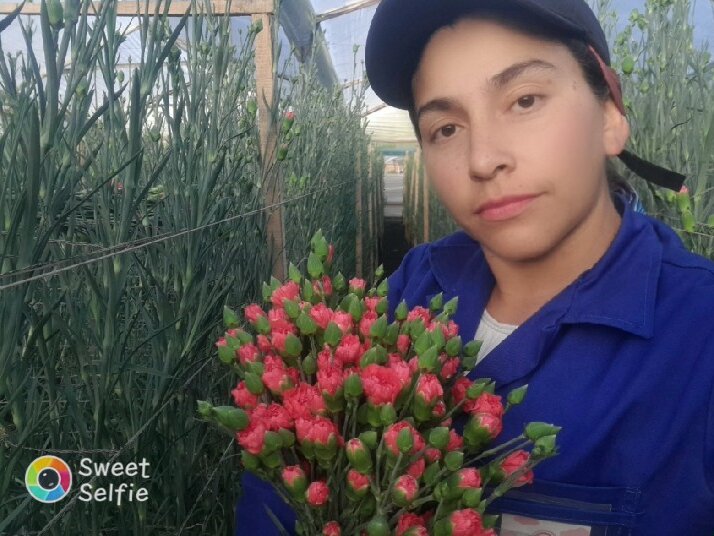 princesa_dakota