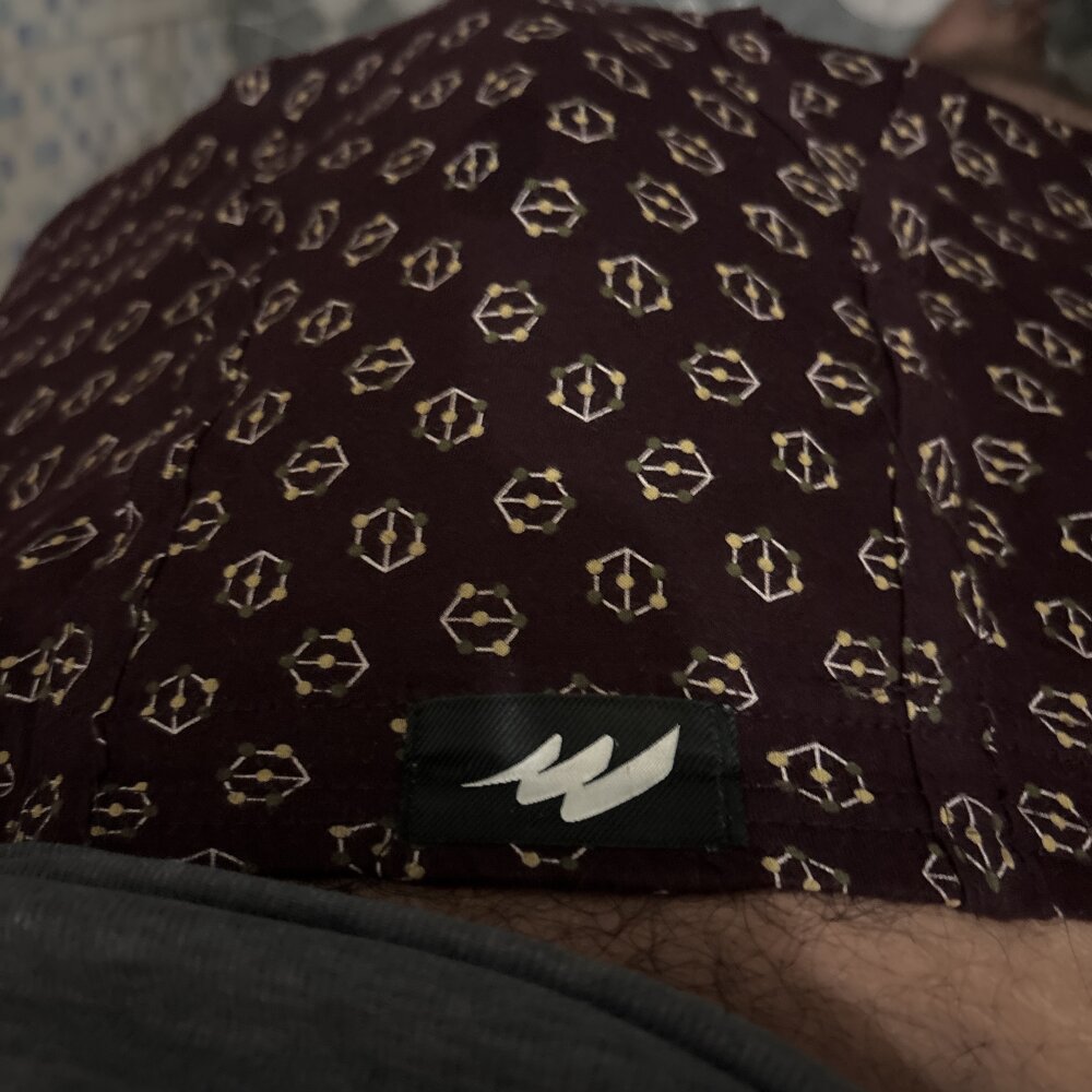 puneribull