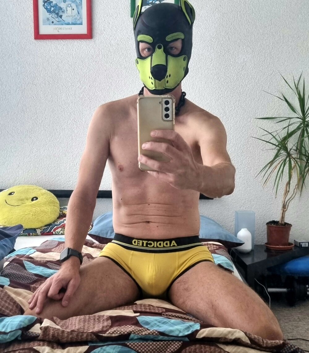 puppy_tomik