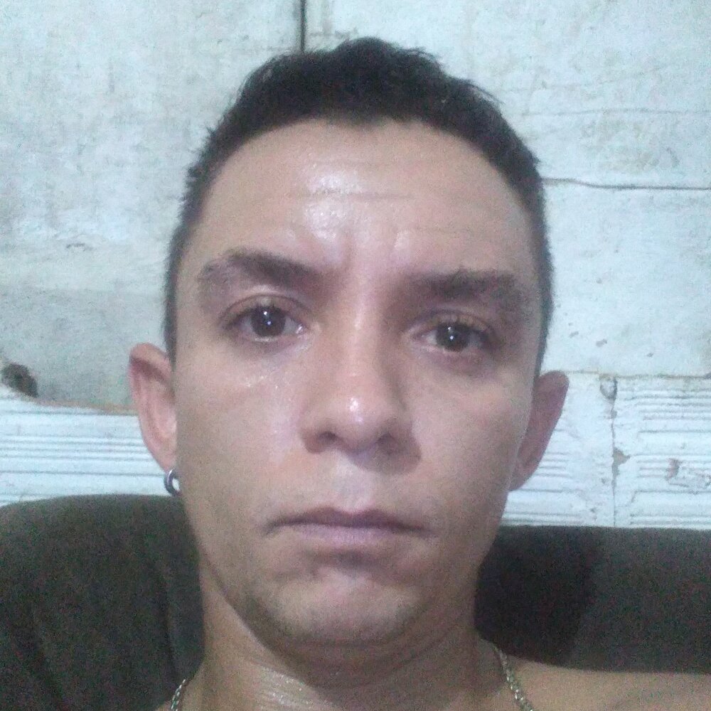 safadopauzudo2025