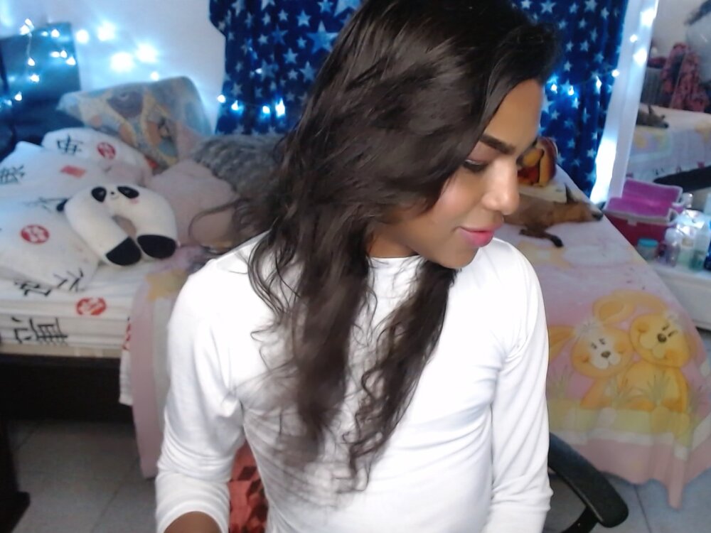 sammy_pinkcat