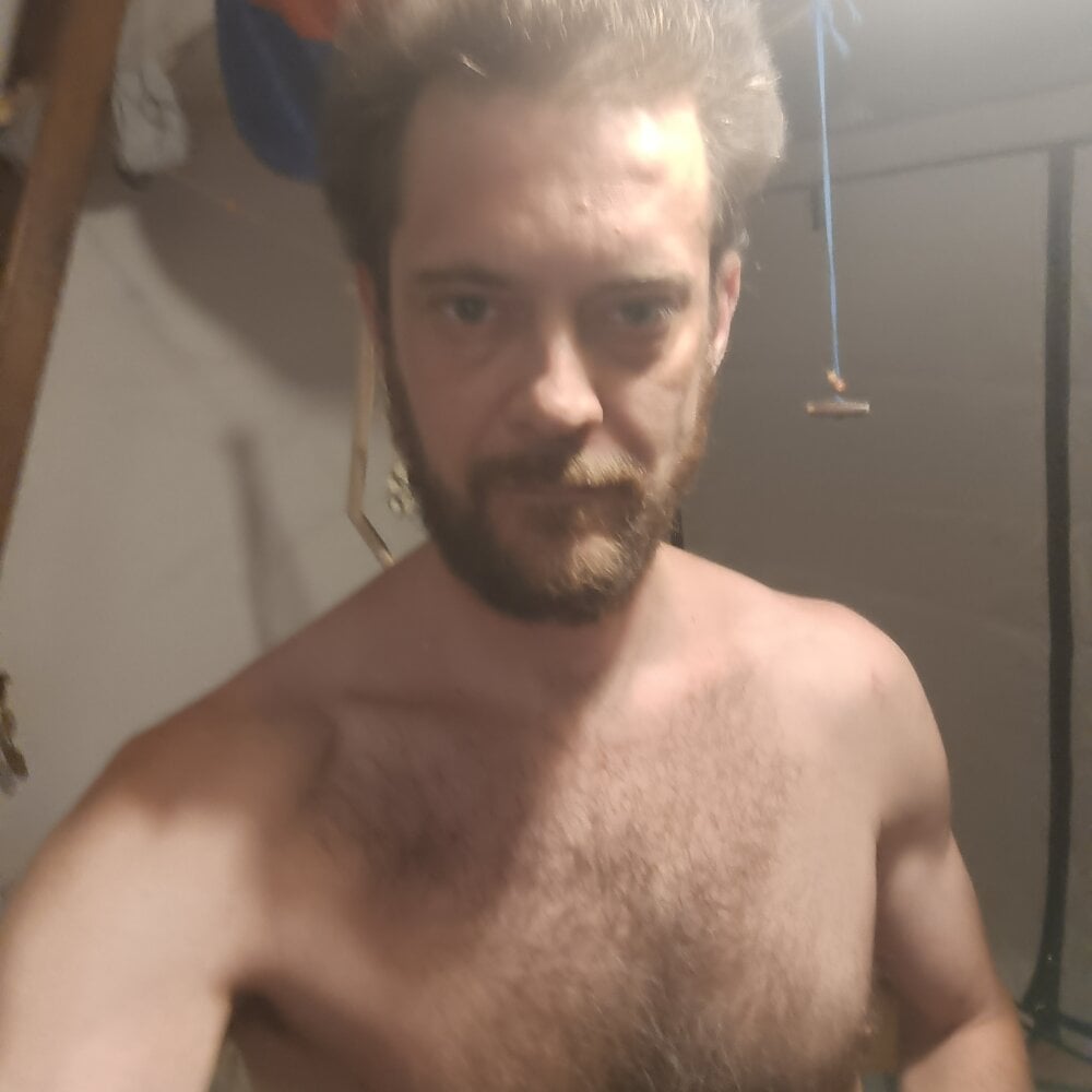 sexnowfree