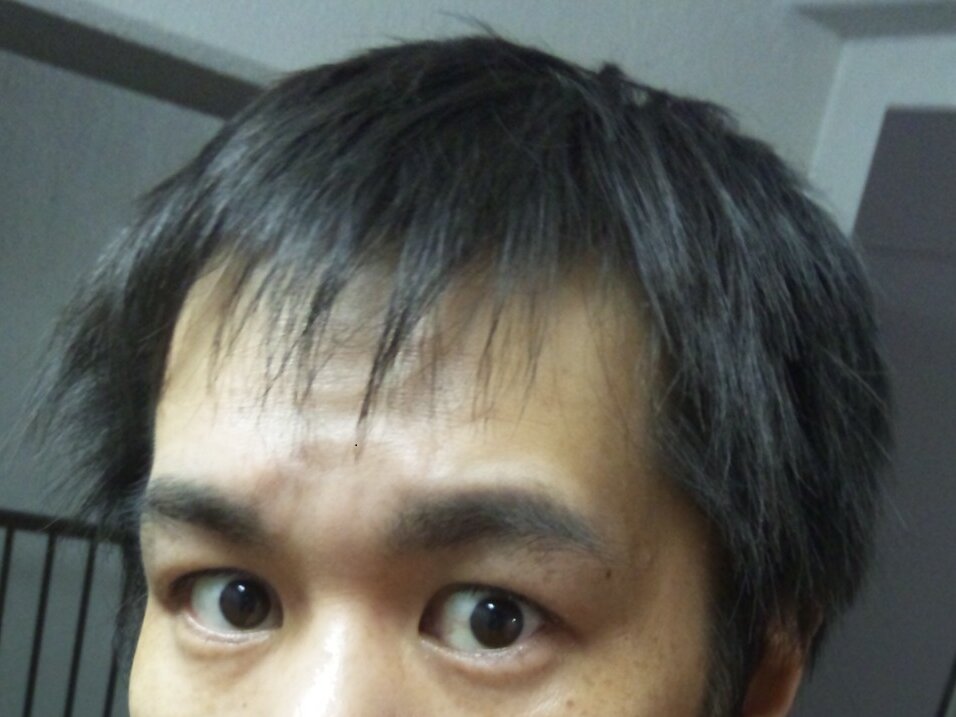 showtakQ