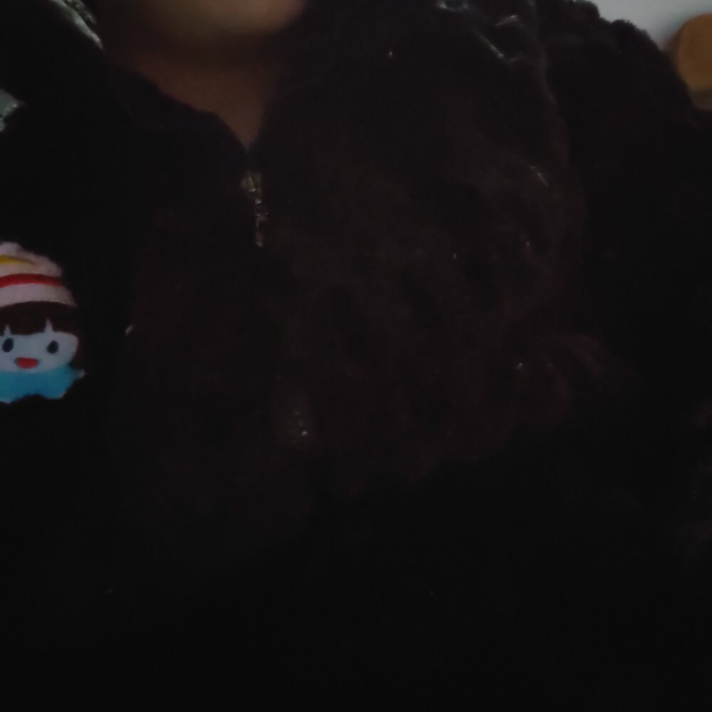 smailcat