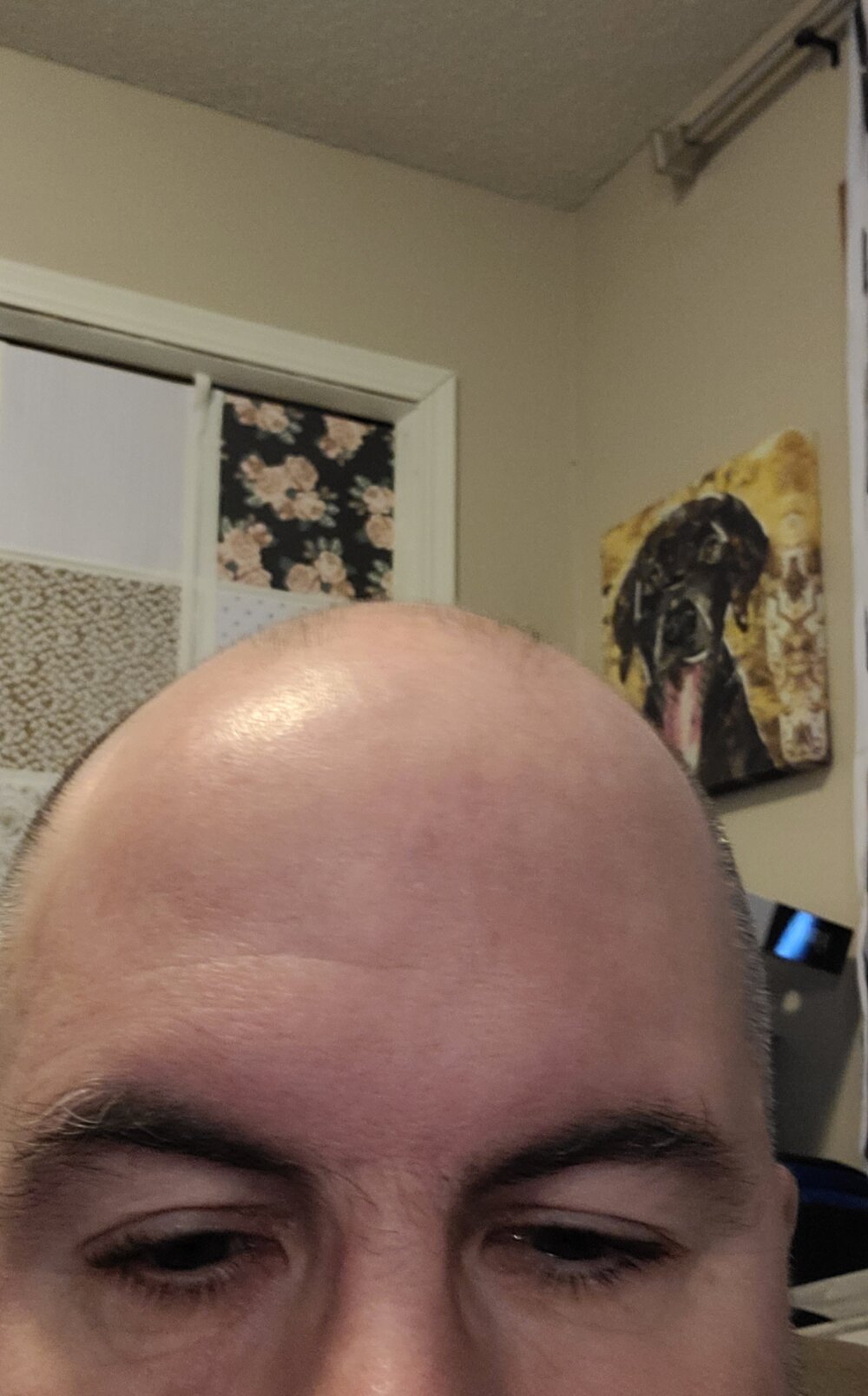 stubbydick3