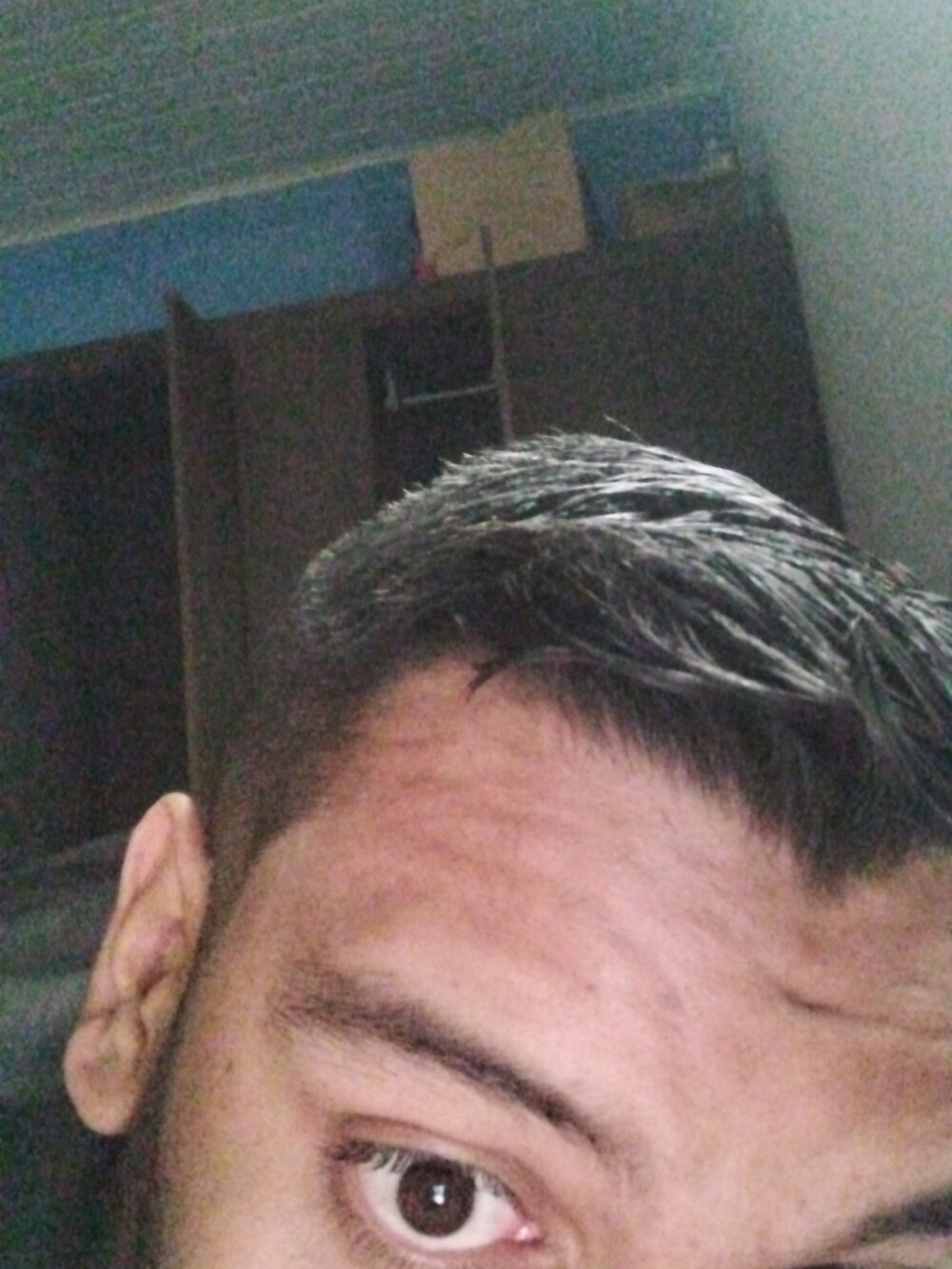 tonybarros