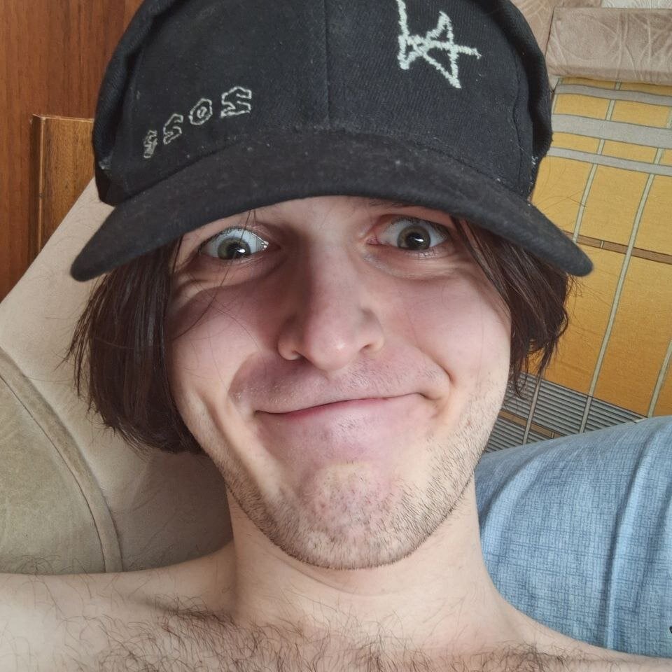 vintedpasrer