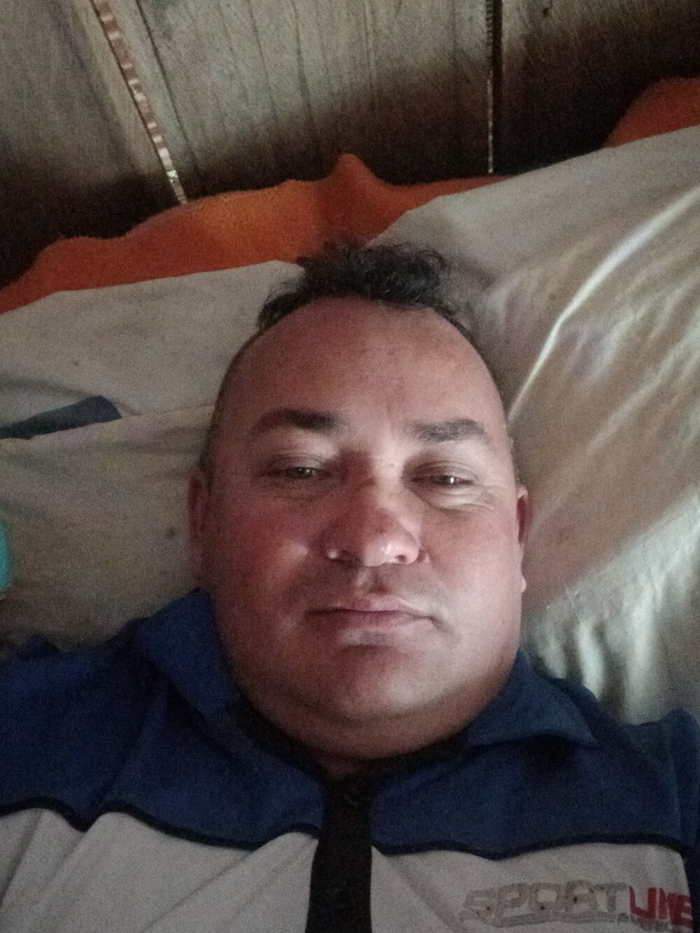 wili_203