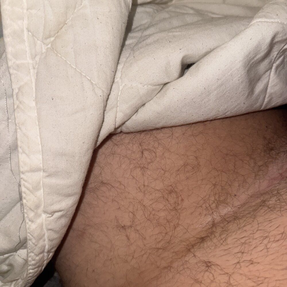 xnxpork